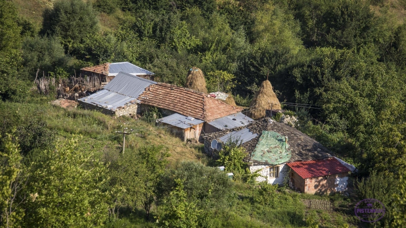 albanien-bauernhaus-natur