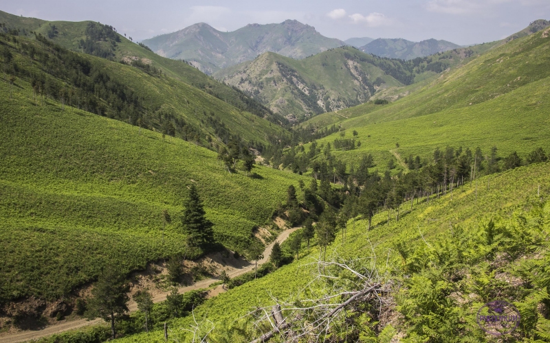 albanien-landschaft-gruen