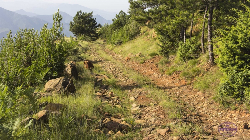 albanien-offroad-steinpiste