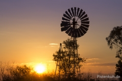 Australien-Wasserrad-Abendlicht-Outback