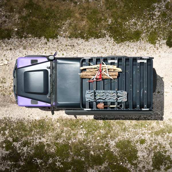 abruzzen-defender-strauch-1