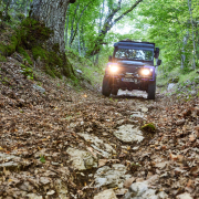 waldweg-abruzzen-2