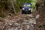 waldweg-abruzzen-3
