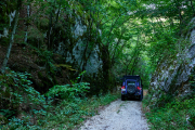 waldweg-abruzzen-4