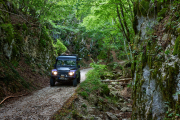 waldweg-abruzzen-5