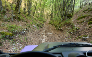 waldweg-abruzzen