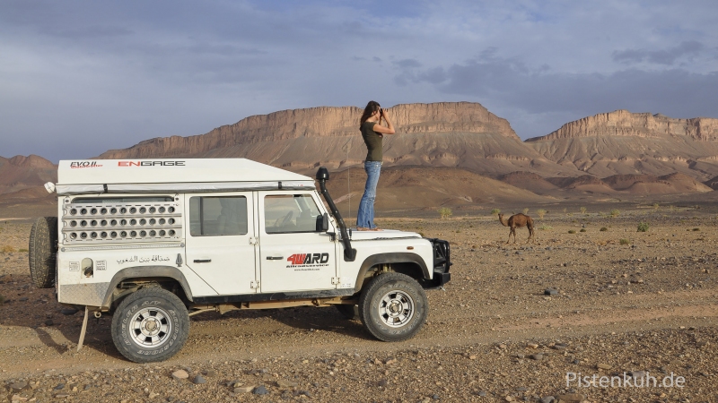 Land-Rover-Defender-Expeditionsfahrzeug
