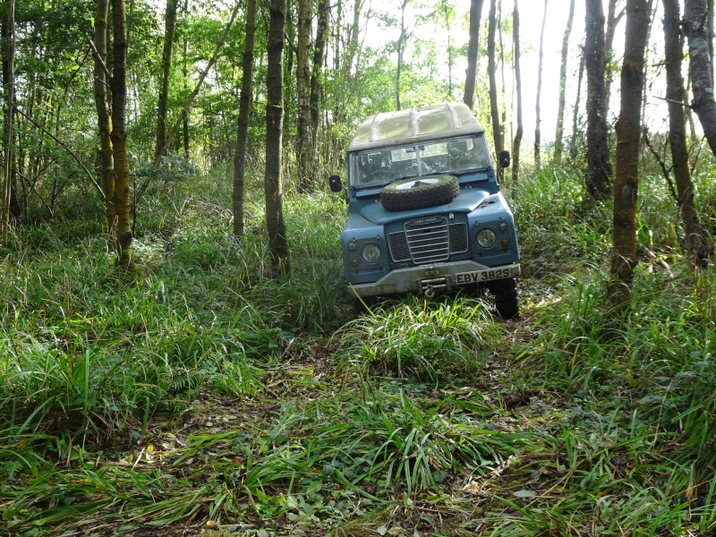 landrover-serie-wald