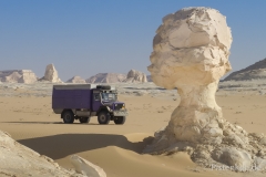 Pistenkuh-Expeditionsmobil-Afrika