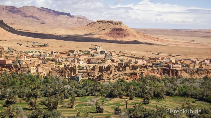 Marokko-Tinerhir-Palmen-Lehmbauten