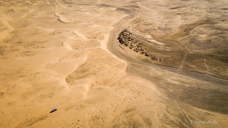 mongolei-khongoryn-els