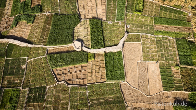 Oman-Gaerten-Oase