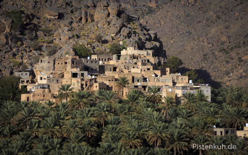 Oman-Misfah-Palmenhain