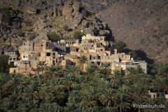 Oman-Misfah-Palmenhain