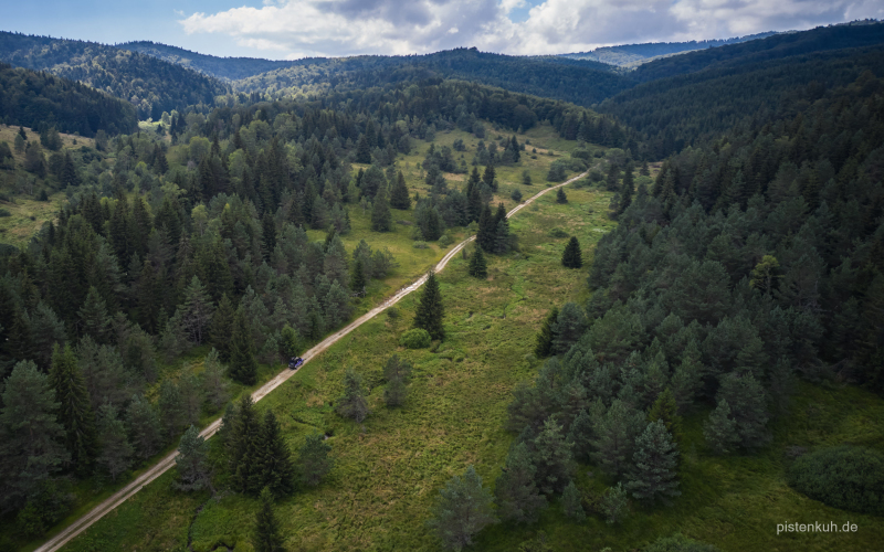 Waldstrecke-rumänien