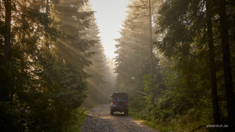 wald-rumaenien-offroad-1