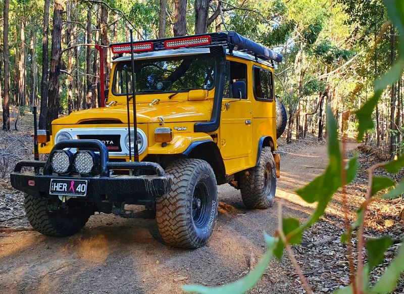 landcruiser-bj-42-piste-wald