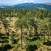tuerkei-waldpiste-9