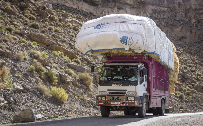 ISUZU-Lkw-Ladung-Marokko