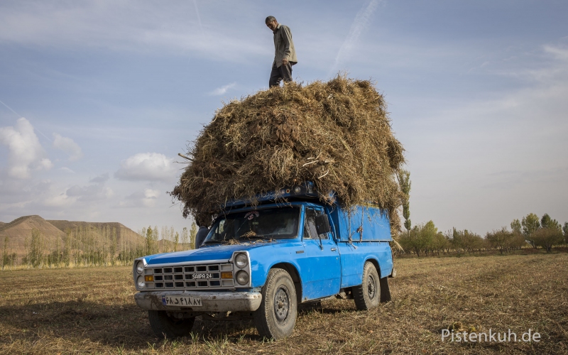 Verkehr-Iran-Pickup