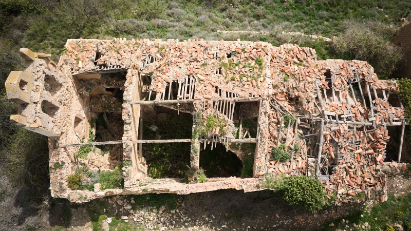 Pardos-spain2