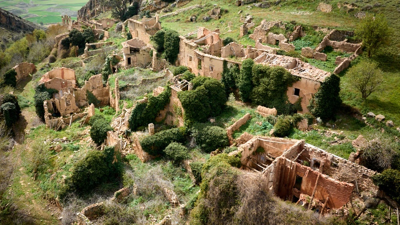 Pardos-spain3