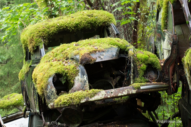 opel kadett im wald