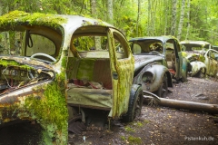 vw-kaefer-autofriedhof