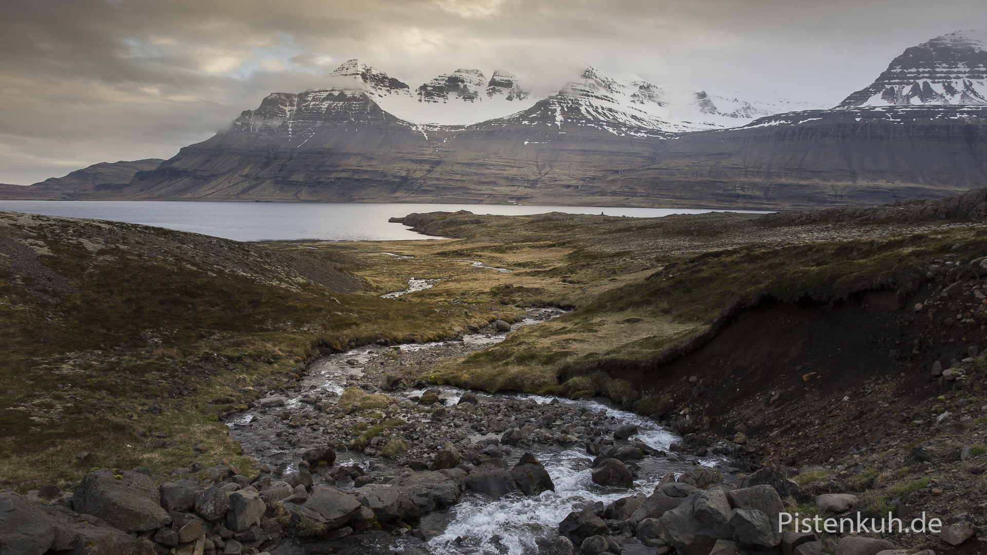 Die Verschiffung nach Island Pistenkuh