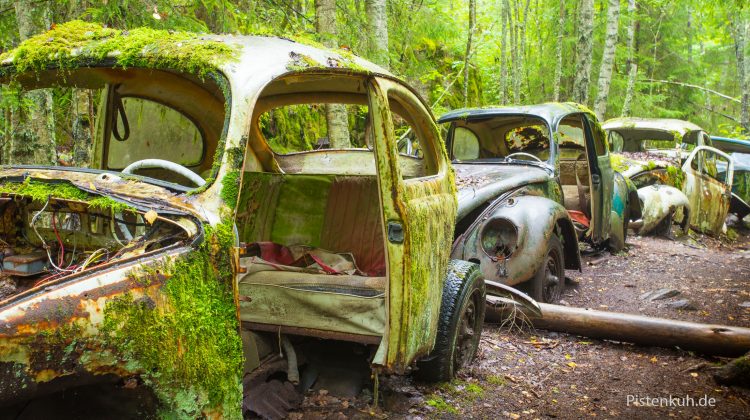 VW-Käfer verrostet und vergessen im Wald