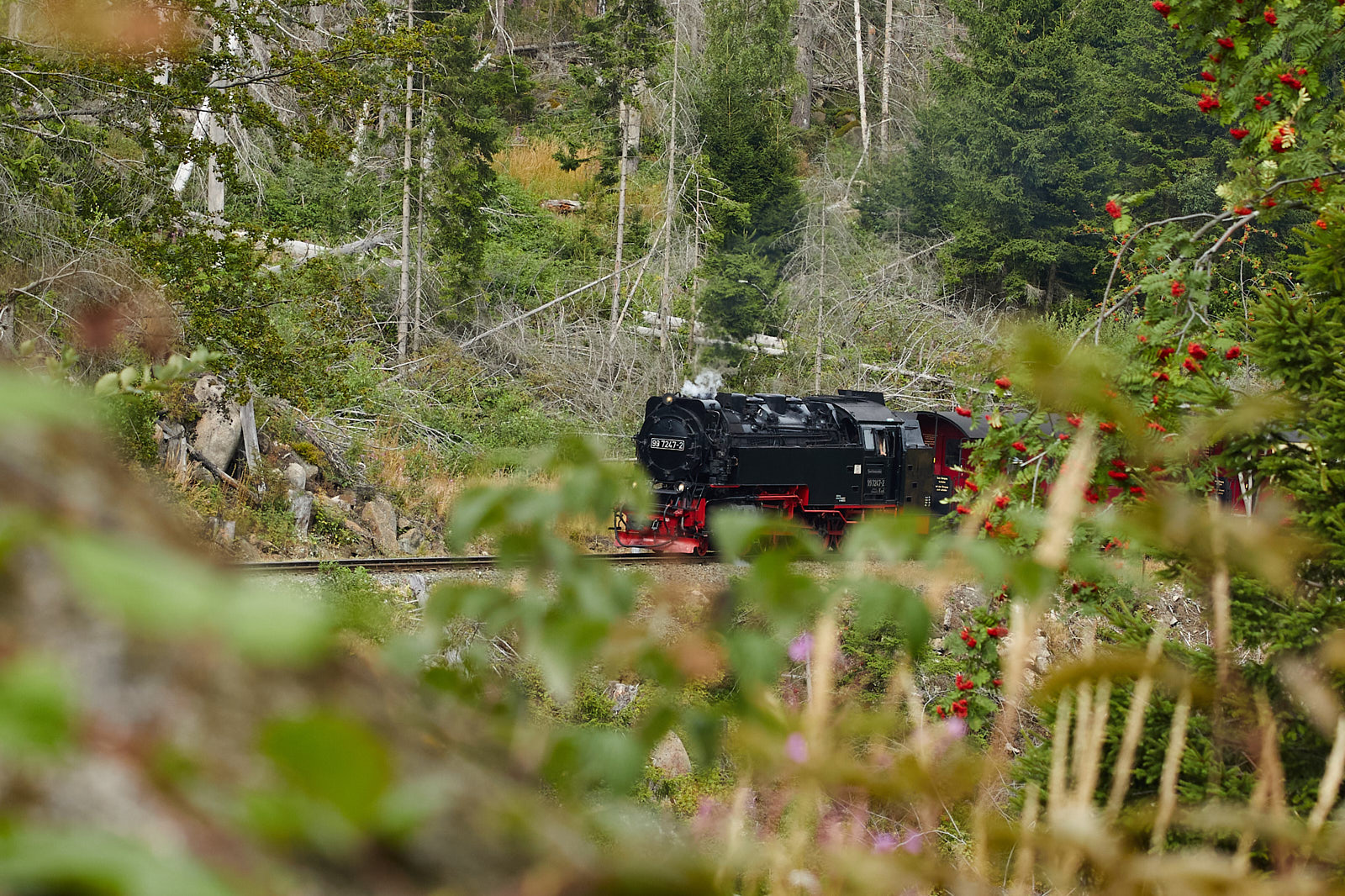 Schmalspurbahn