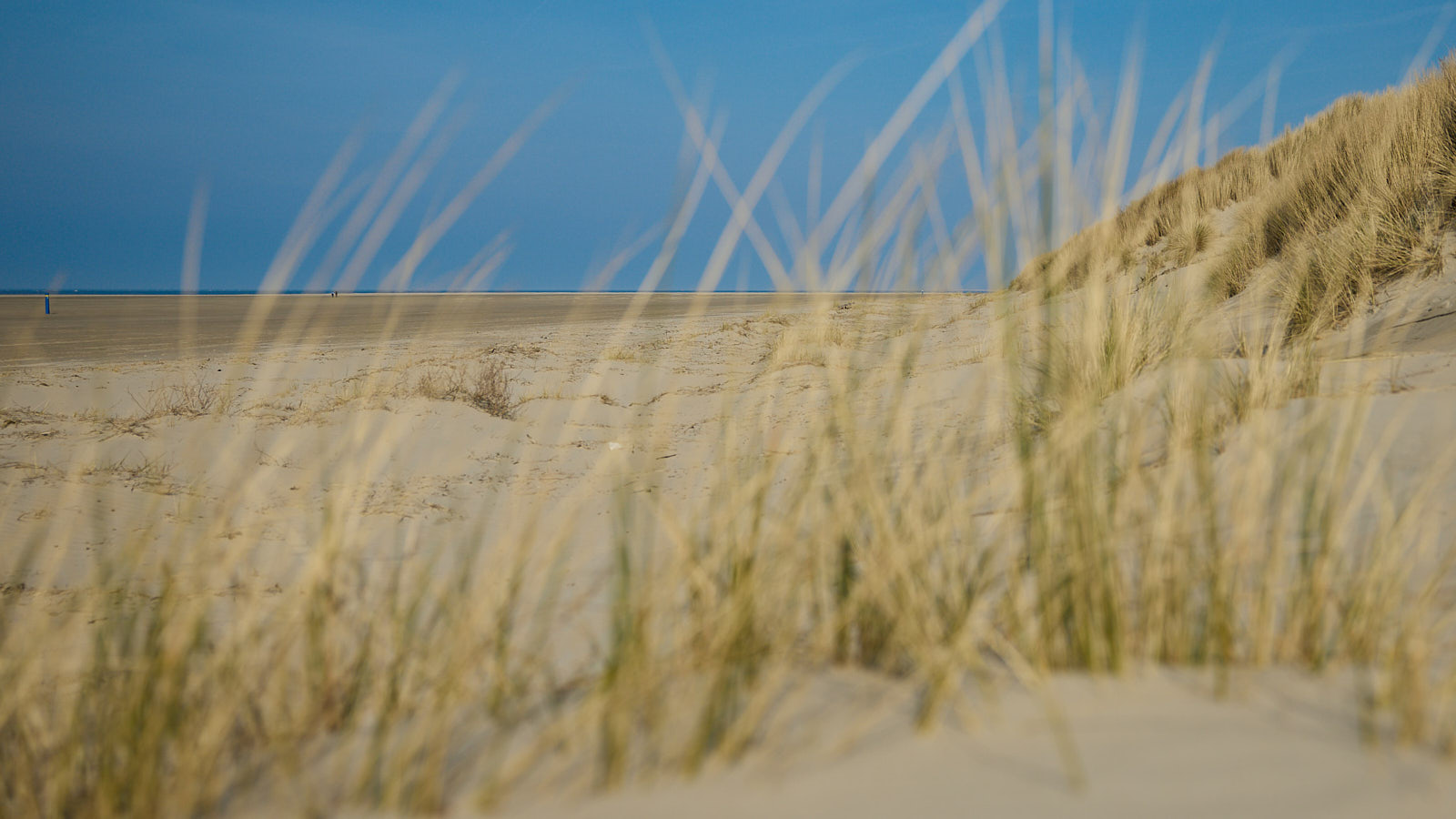 Küstenlandschaft